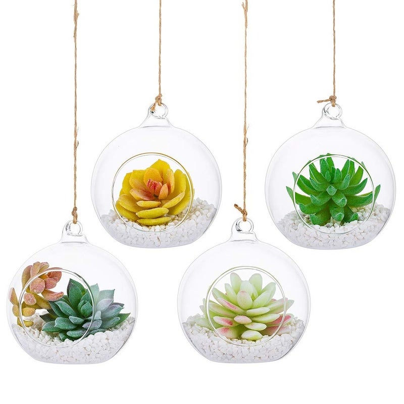 NUPTIO 4 Pcs Hanging Glass Terrarium Plants, 4" Diam Globe Planter Terrariums for Succulent - Image 1